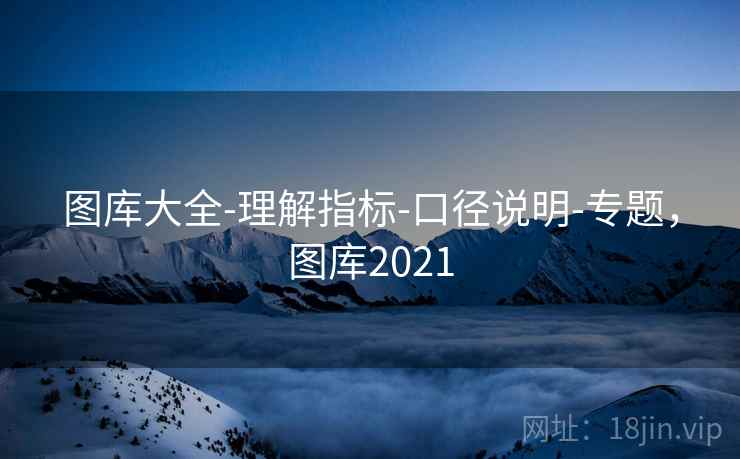 图库大全-理解指标-口径说明-专题，图库2021
